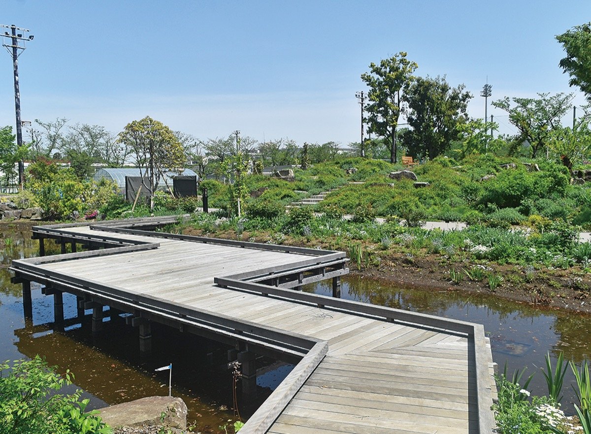 🏞️ 코료 공원 이미지 6